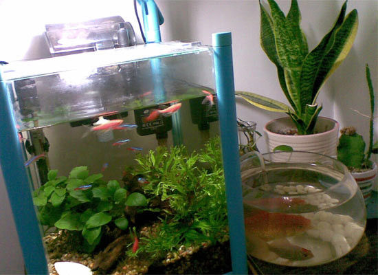 谁谋杀了你的健康 装修污染冷知识